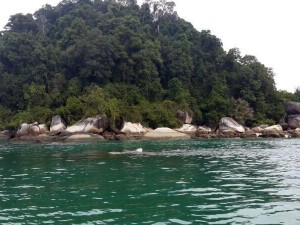 Пангкор Лаут