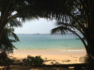 jungl beach